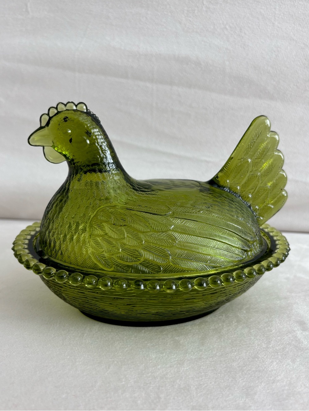 Olive Green Indiana Hen on Nest